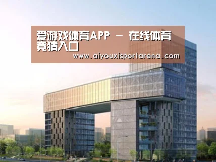 案例展示四