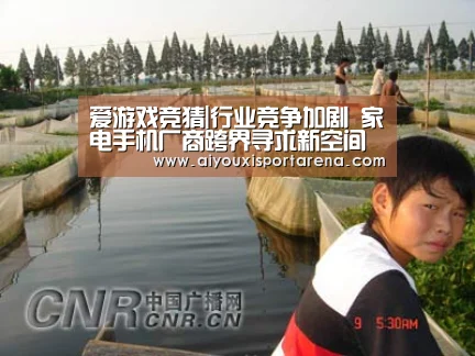 爱游戏竞猜|行业竞争加剧 家电手机厂商跨界寻求新空间(图2) 爱游戏竞猜
