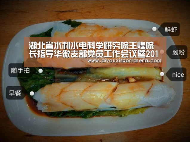 湖北省水利水电科学研究院王煌院长指导华傲支部党员工作会议暨2016年“红旗支部”创建活动“爱游戏登录”(图1) 爱游戏官网