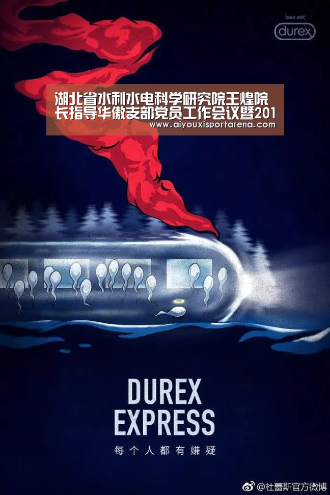 湖北省水利水电科学研究院王煌院长指导华傲支部党员工作会议暨2016年“红旗支部”创建活动“爱游戏登录”(图2) 爱游戏登录