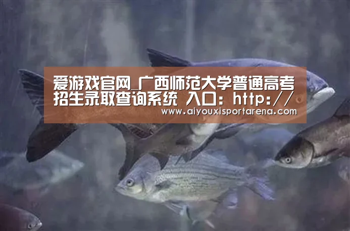 爱游戏官网_广西师范大学普通高考招生录取查询系统 入口:http://bkzs.gxnu.edu.cn/pg/query/pgqu(图4) 爱游戏官网
