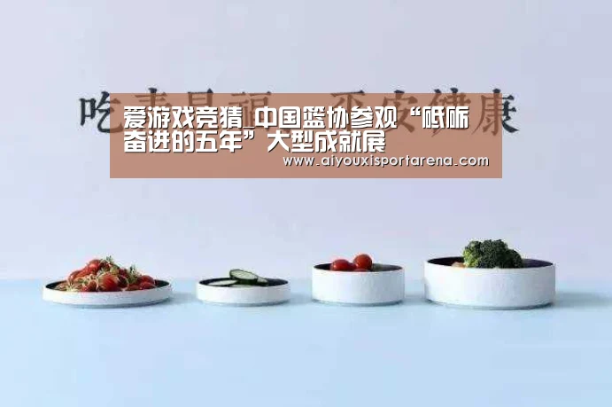 爱游戏竞猜_中国篮协参观“砥砺奋进的五年”大型成就展(图1) 爱游戏登录